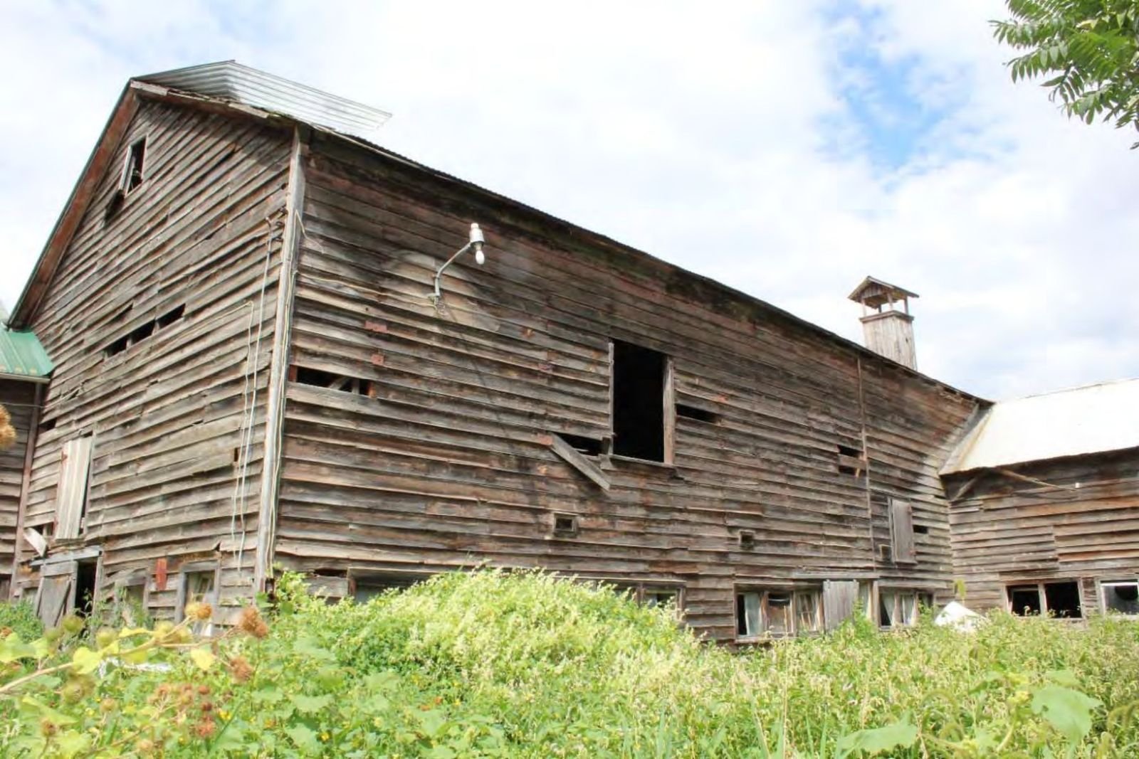 Southwest corner of the oldest portion of the main barn; note the tall ventilator.